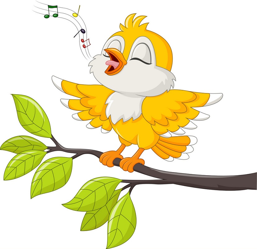 yellow bird singing