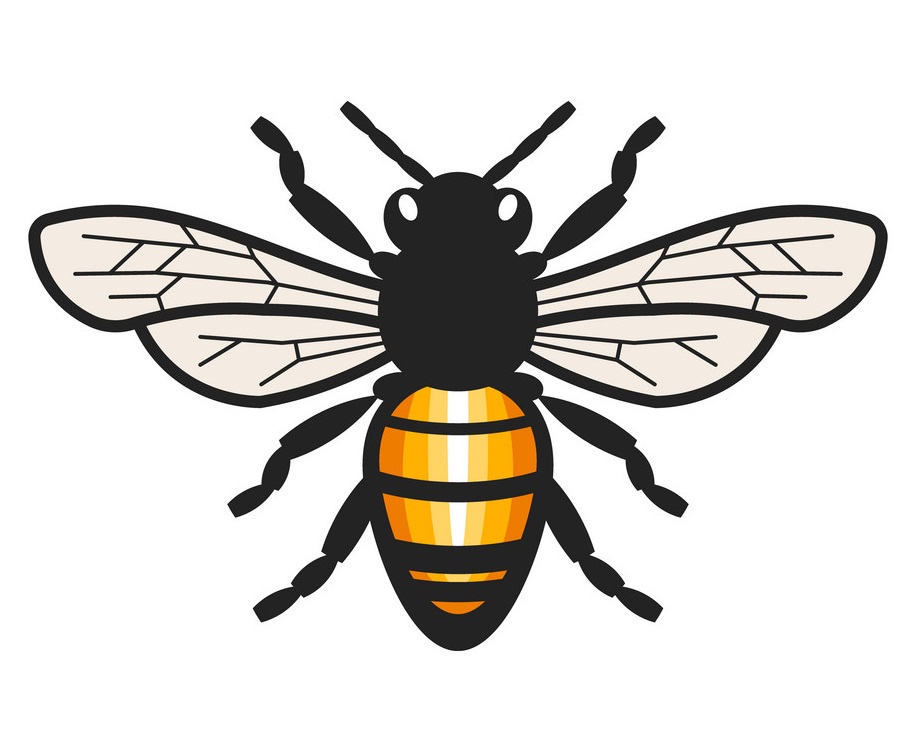 3d bee icon