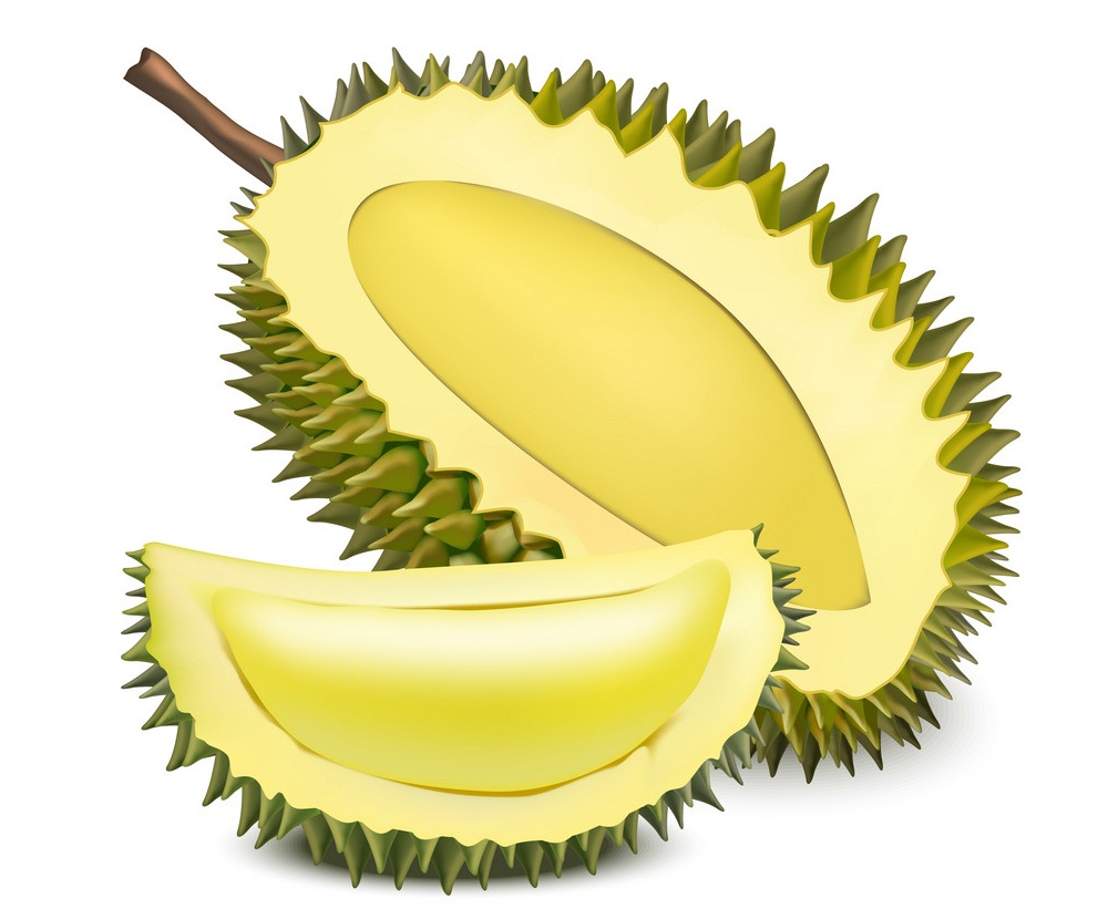 3d durian fruit