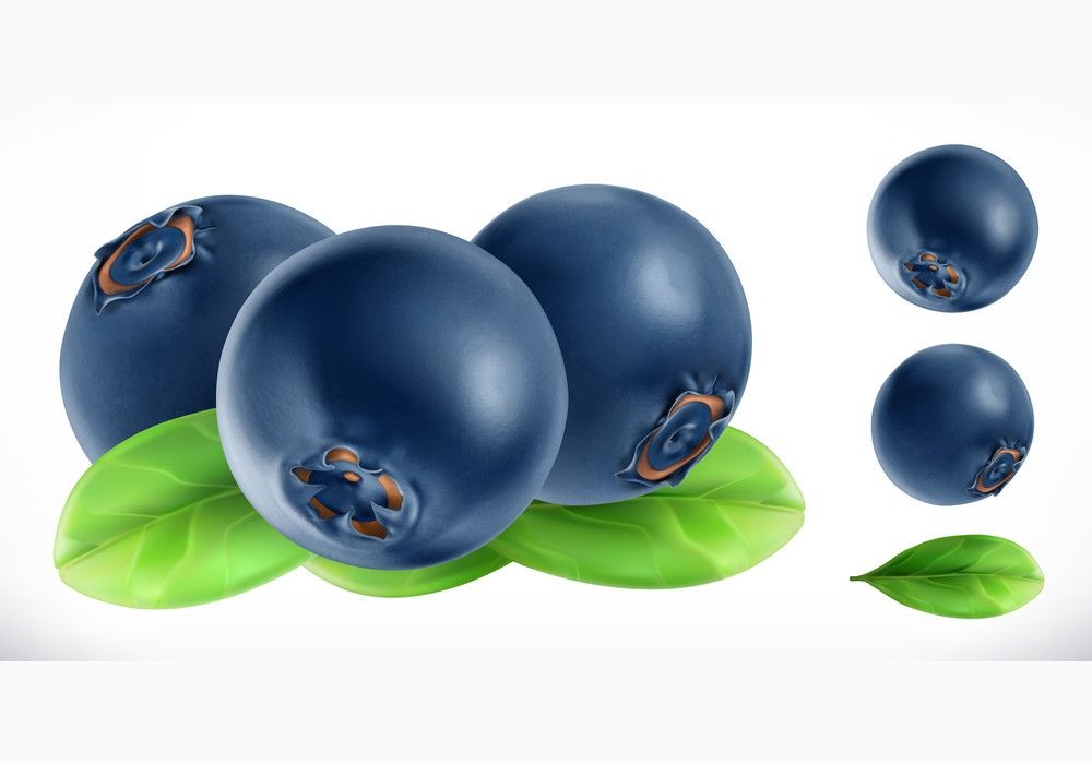 3d fresh blueberry fruit