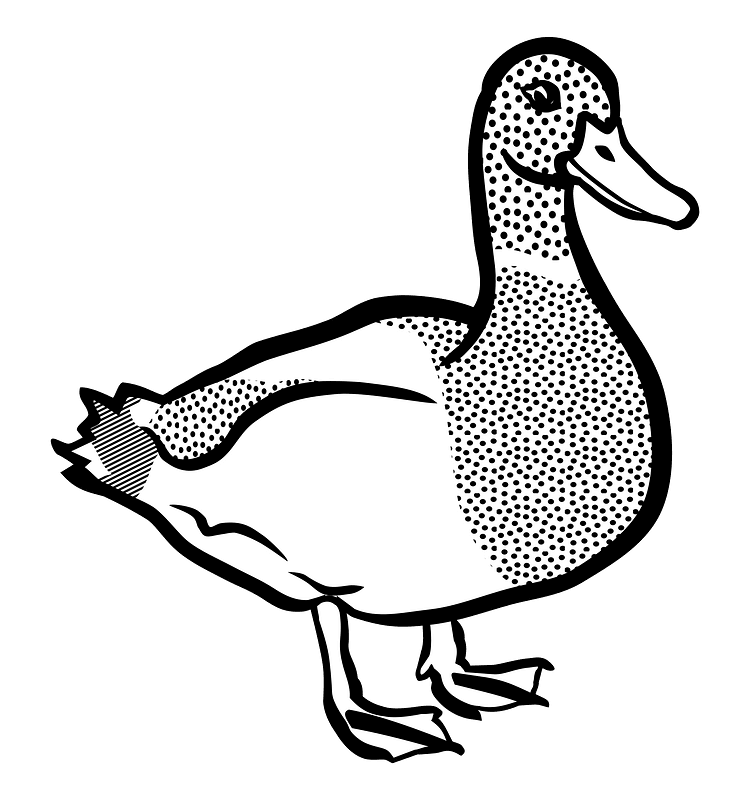 Duck Clipart Black and White 10