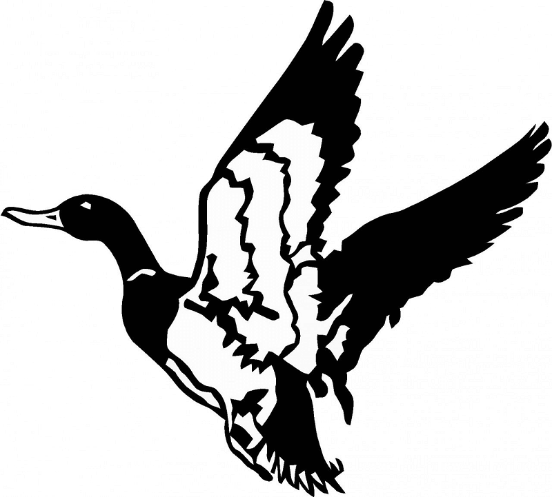 Duck Clipart Black and White 3