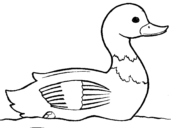 Duck Clipart Black and White 7