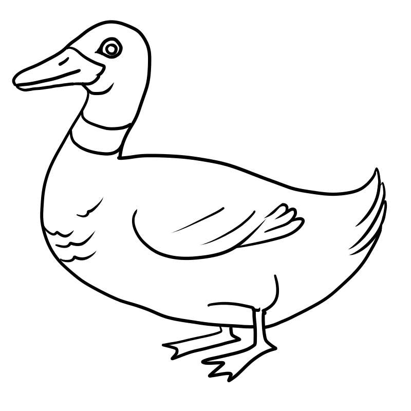 Duck Clipart Black and White 8