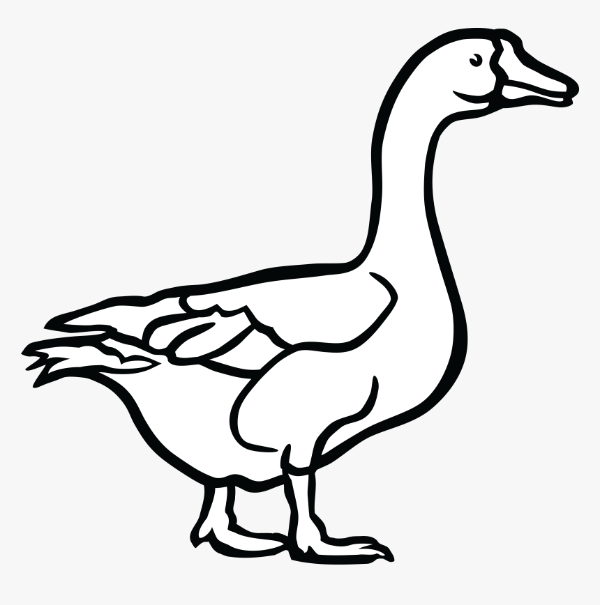 Duck Clipart Black and White