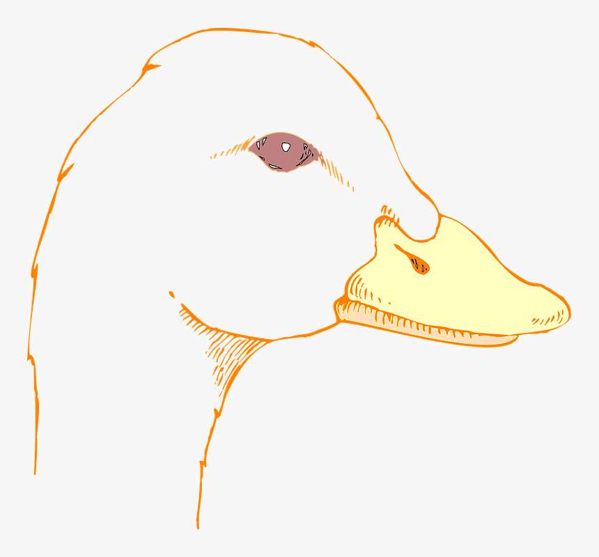 Duck Face clipart 1