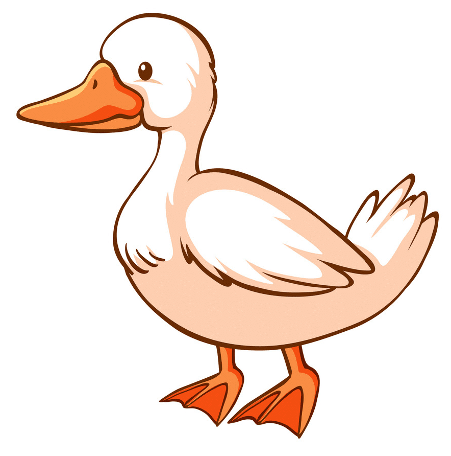 Duck clipart 3