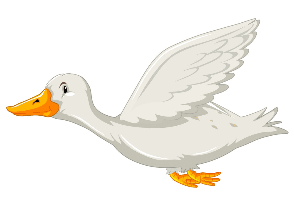 Duck clipart 4