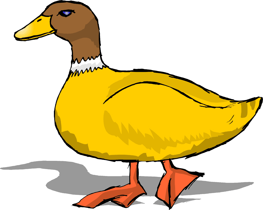 Duck clipart 5
