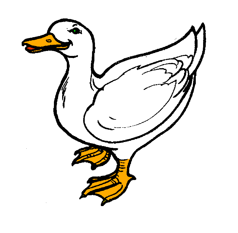 Duck clipart 6