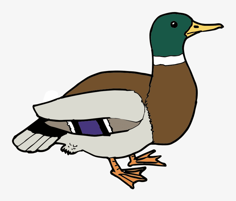 Duck clipart png free