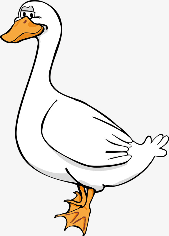 Duck clipart png image