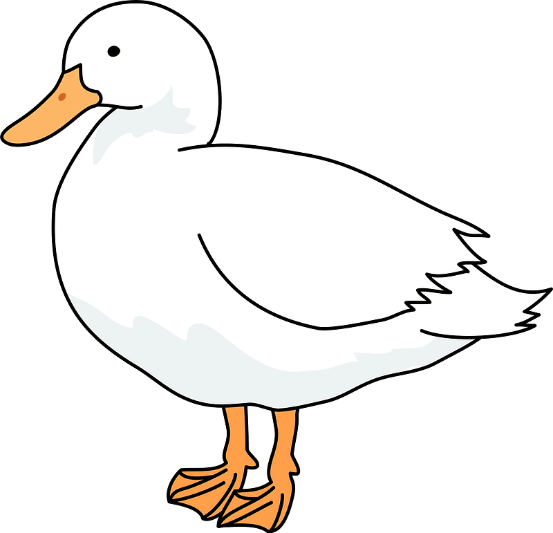 Duck clipart transparent 4