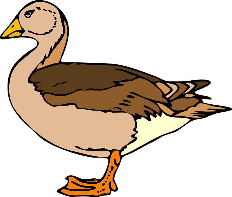 Duck clipart transparent 6