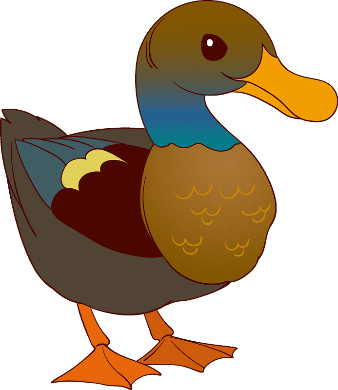 Duck clipart transparent 8