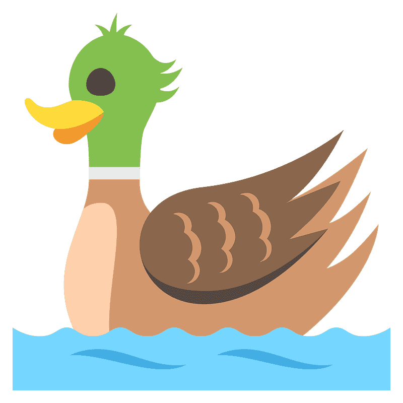 Mallard Duck clipart transparent 1