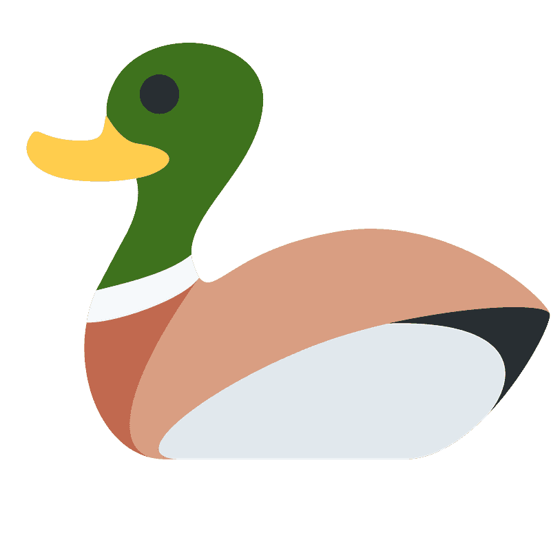 Mallard Duck clipart transparent 2