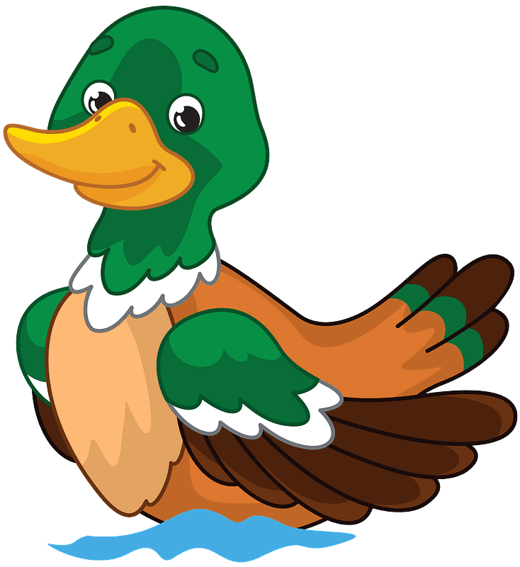 Mallard Duck clipart transparent 4