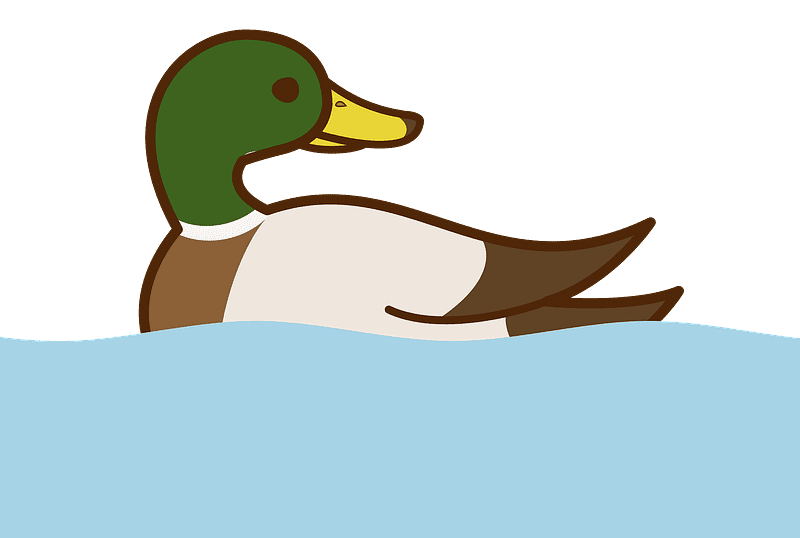 Mallard Duck clipart transparent 6