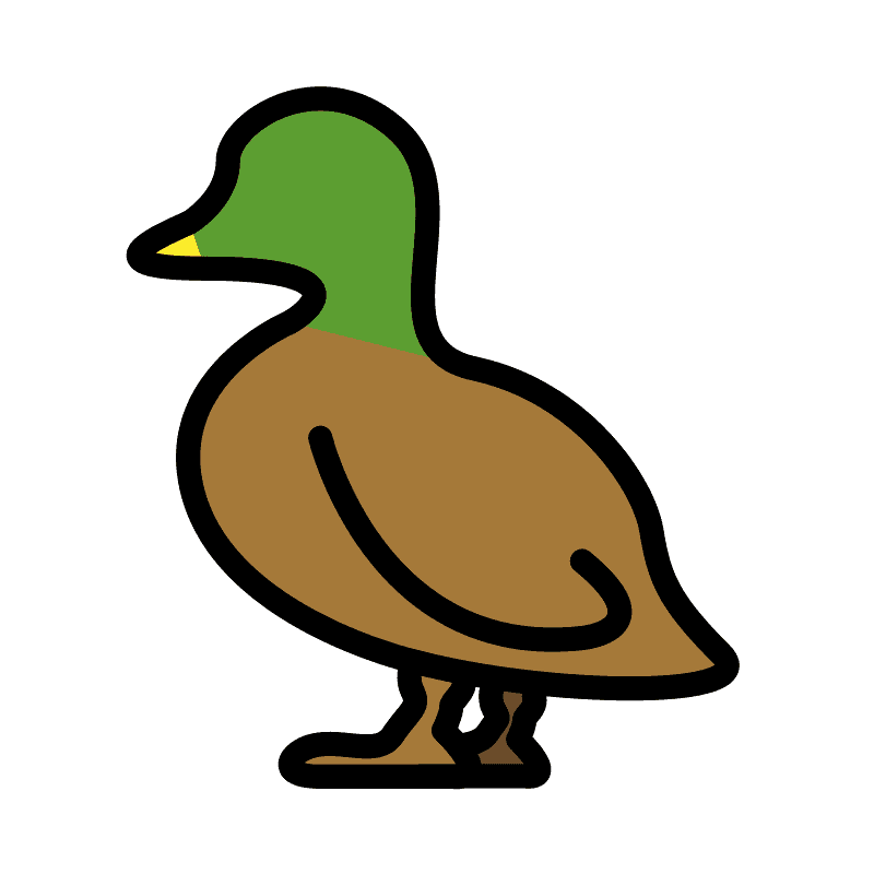 Mallard Duck clipart transparent