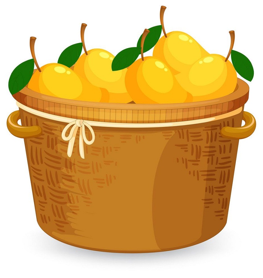 a basket of mangoes