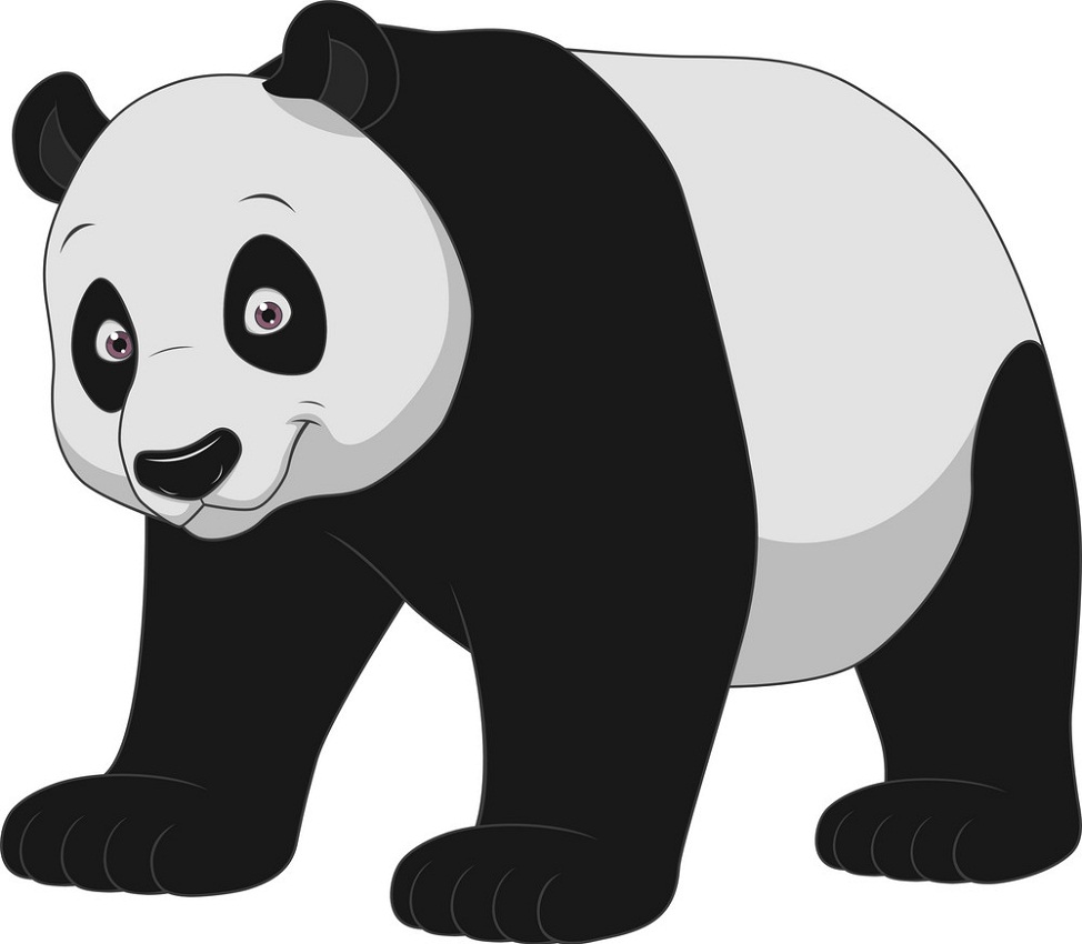 a big panda