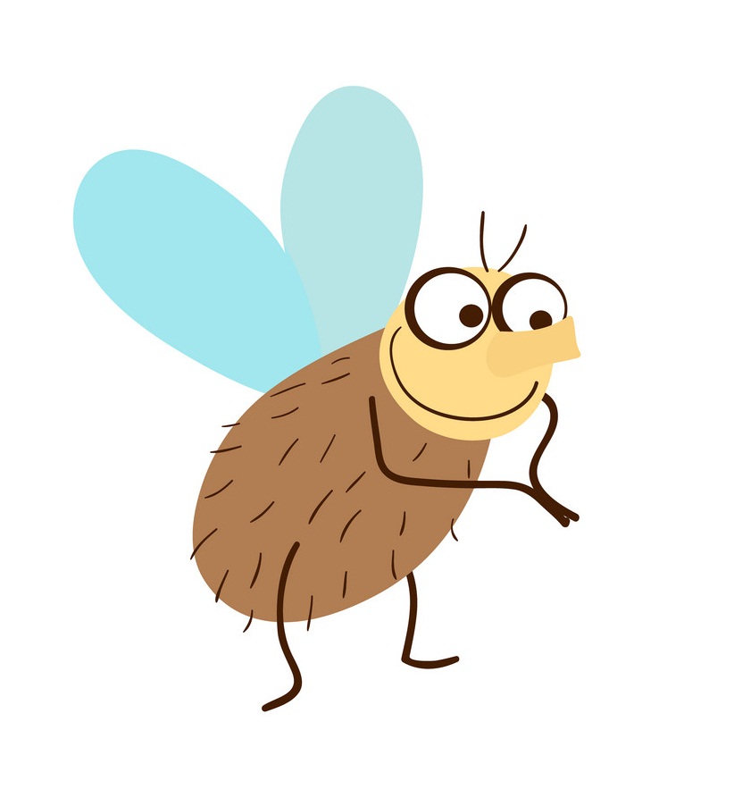 a cartoon fly