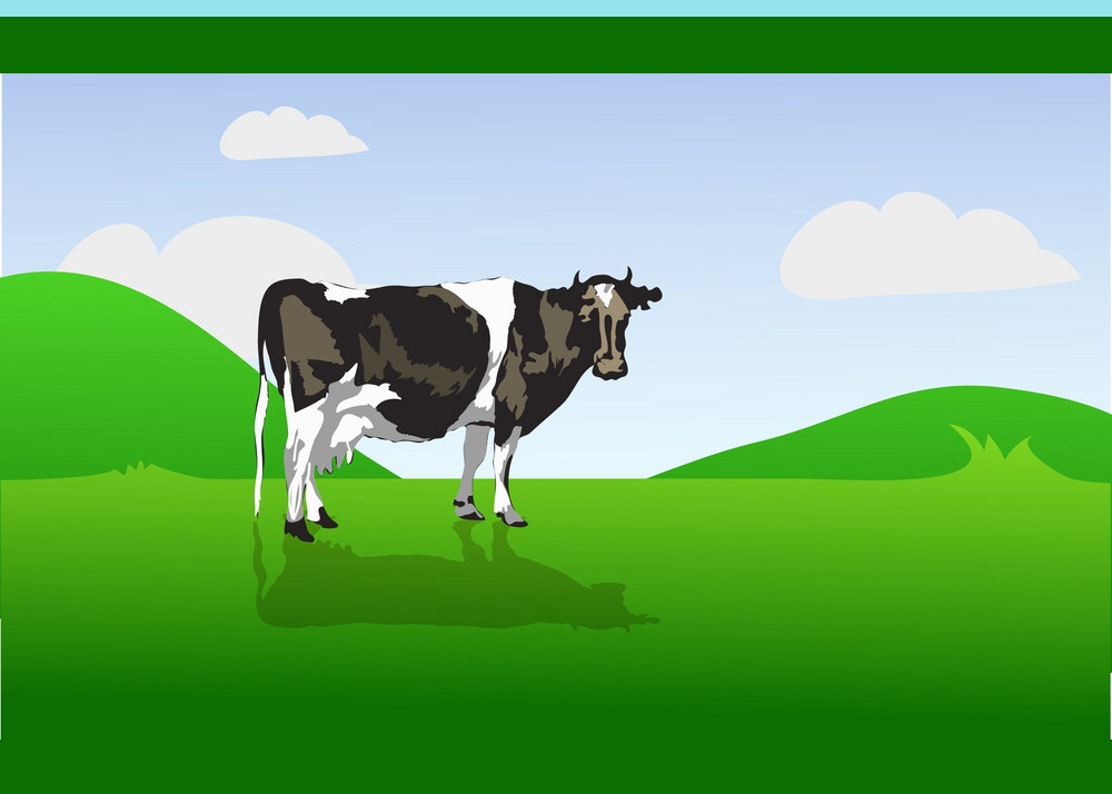 a cow on green field