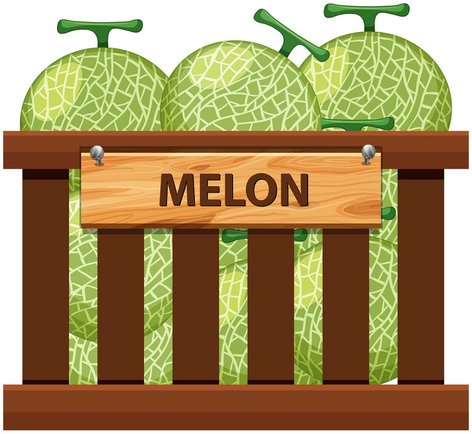 a crate of melons