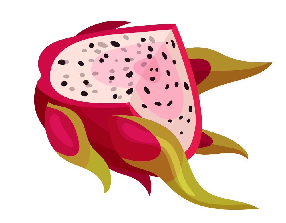 a cut of dragon fruit