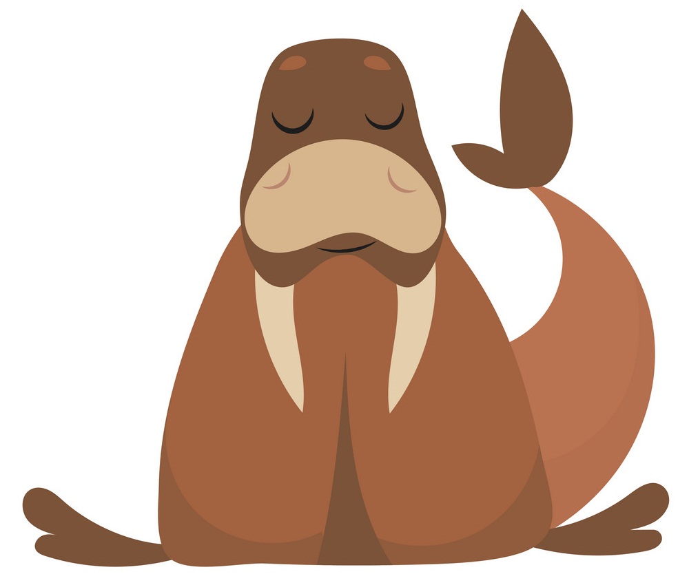 a cute walrus
