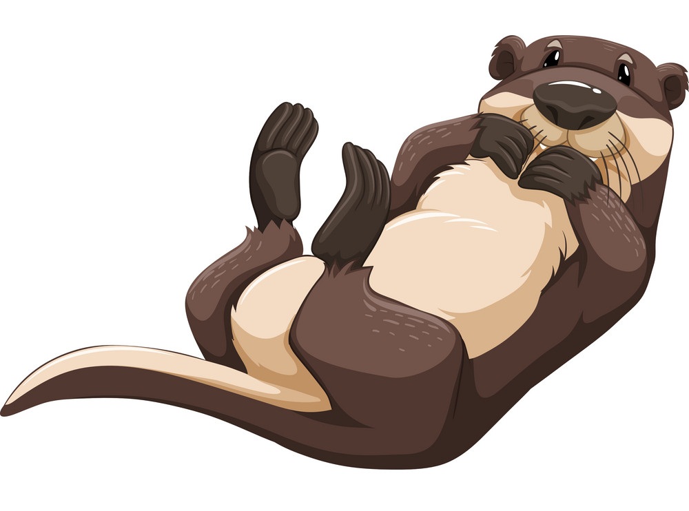 a fat otter