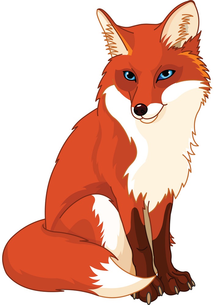 a fox