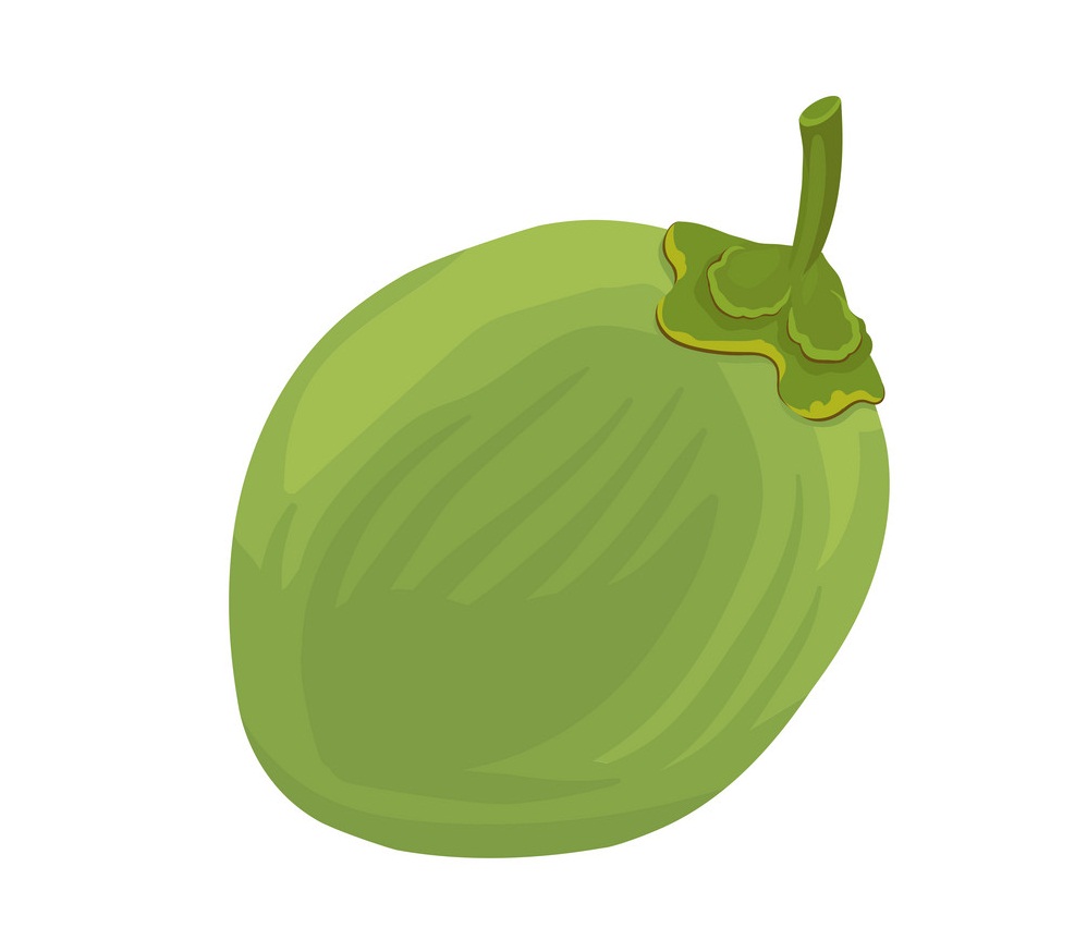 a green coconut