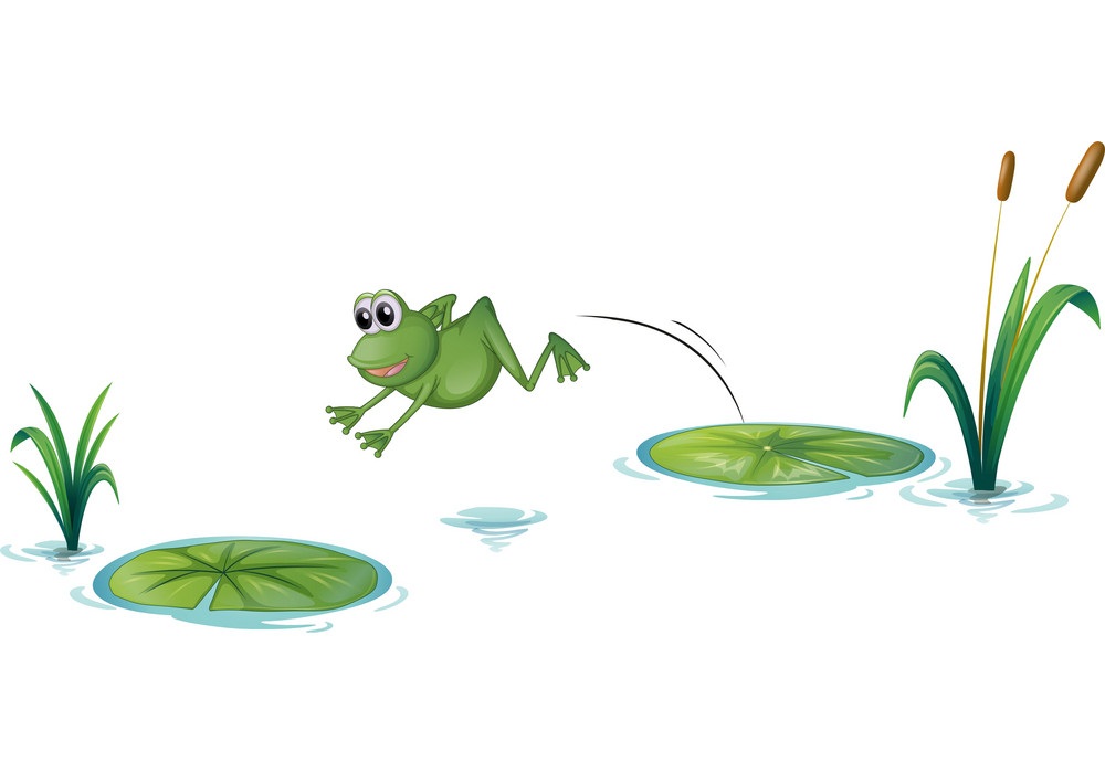a jumping frog