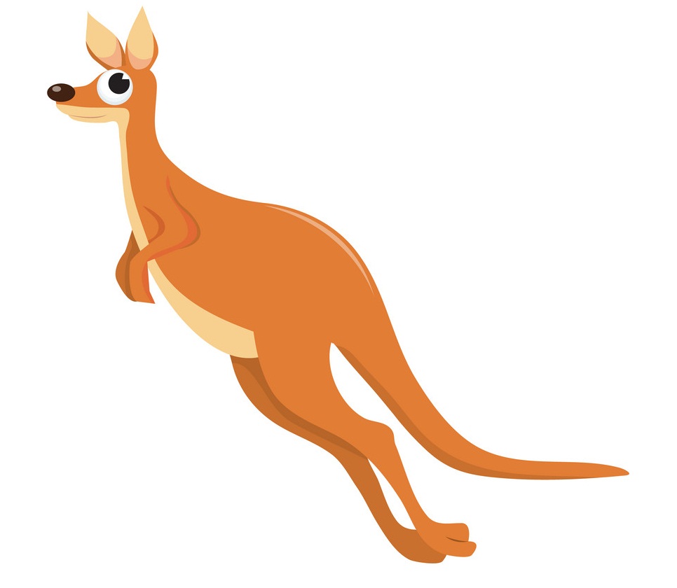 a kangaroo jumping