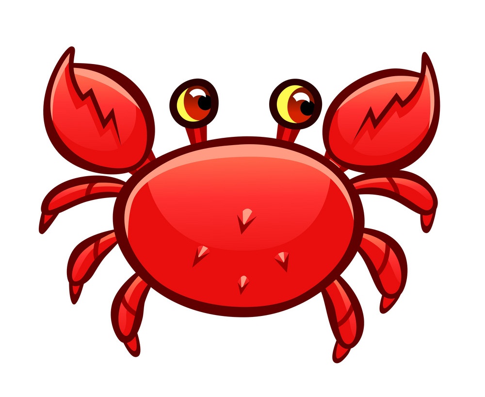 a little crab