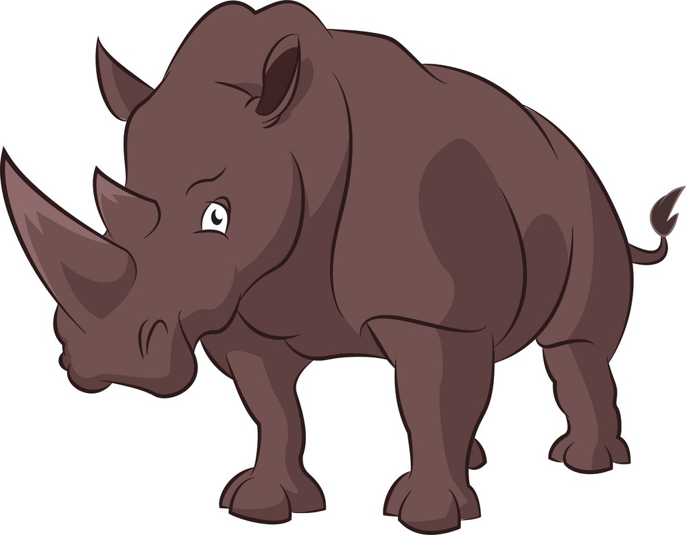 a rhino