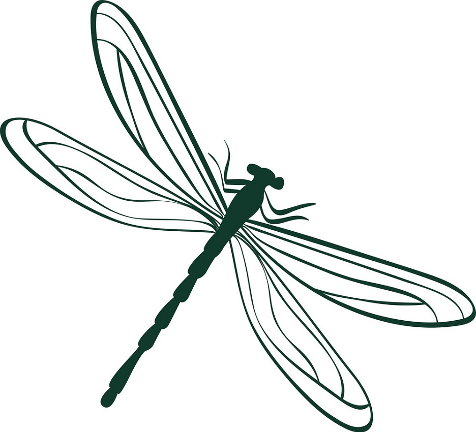 abstract dragonfly