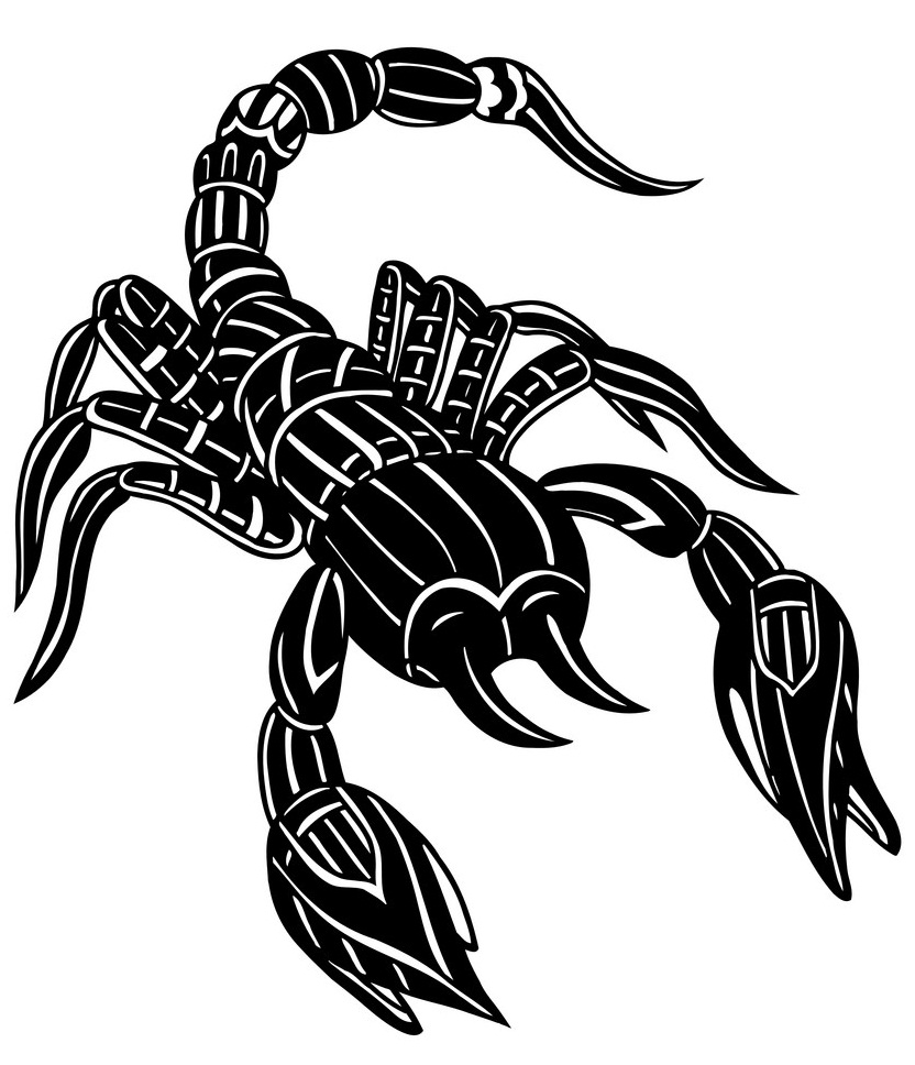 abstract scorpion