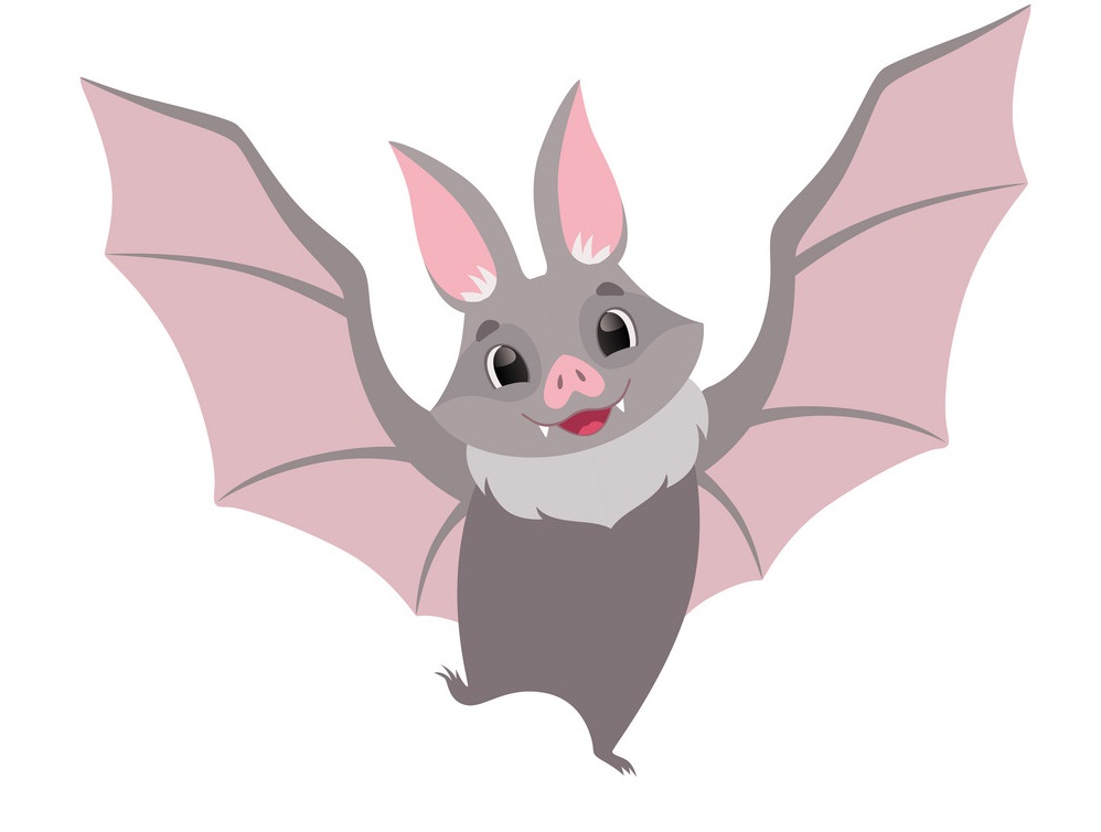 adorable bat flying