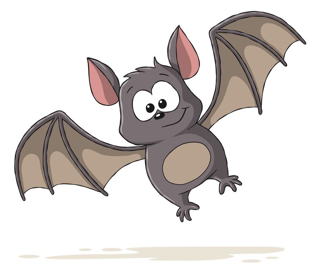 adorable bat