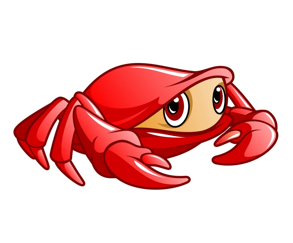 adorable crab