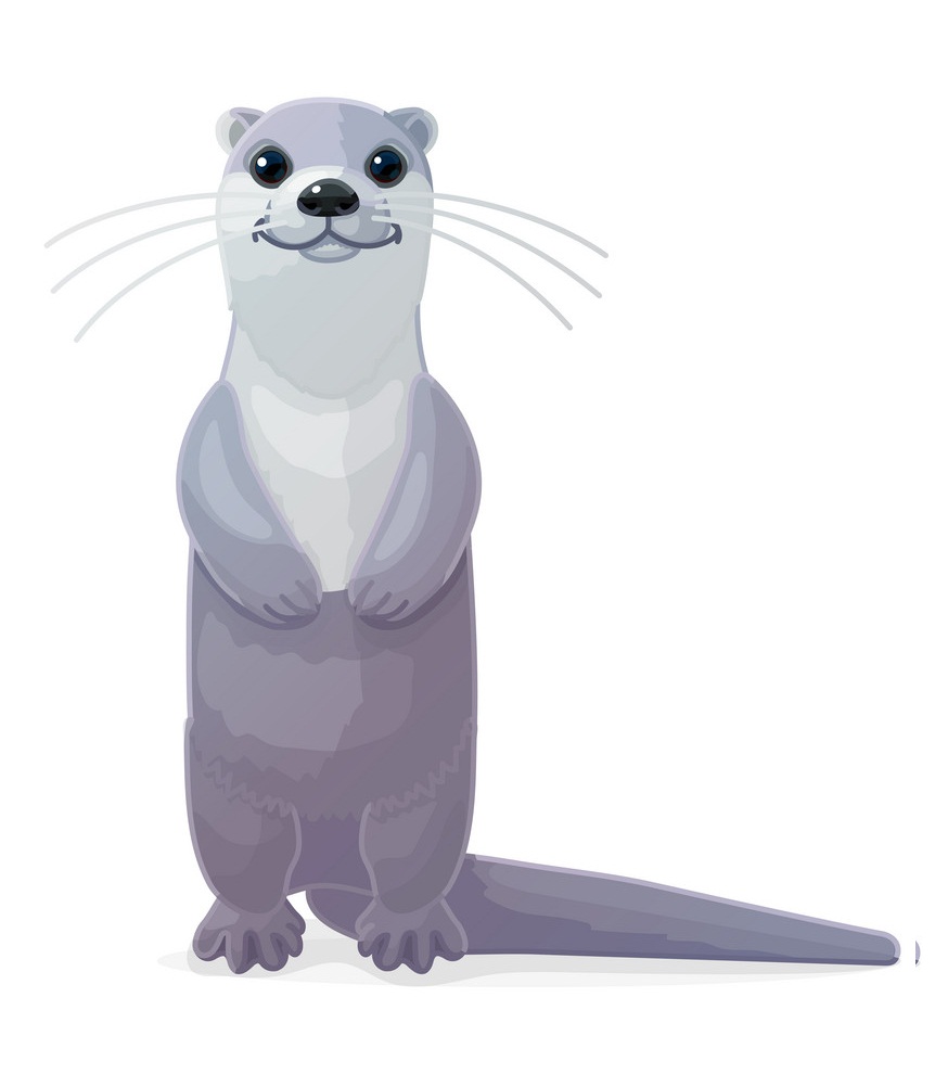 adorable gray otter