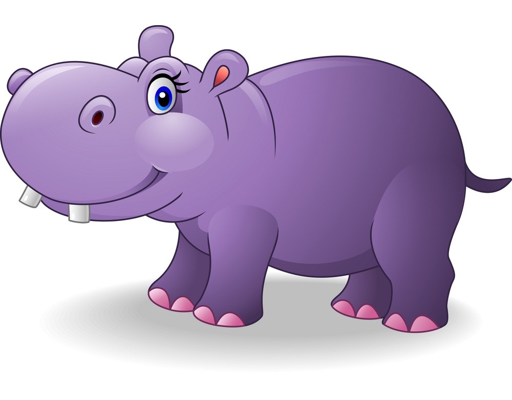adorable hippo