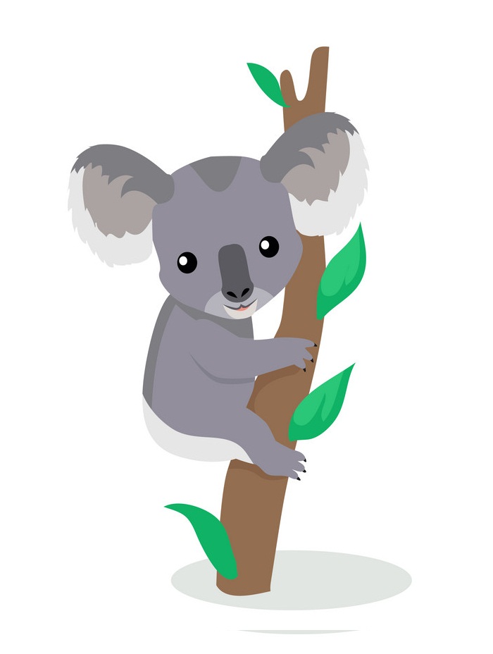 adorable koala on a tree branch