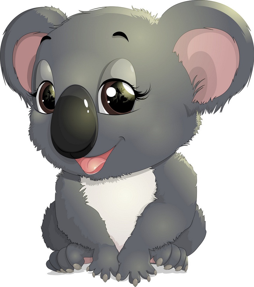 adorable koala