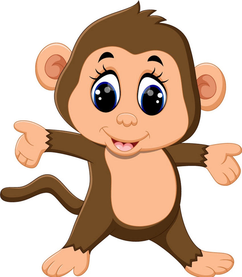 adorable monkey