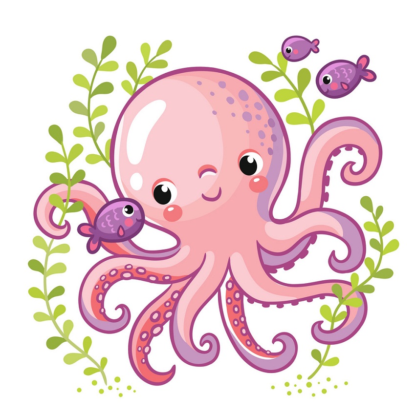adorable octopus