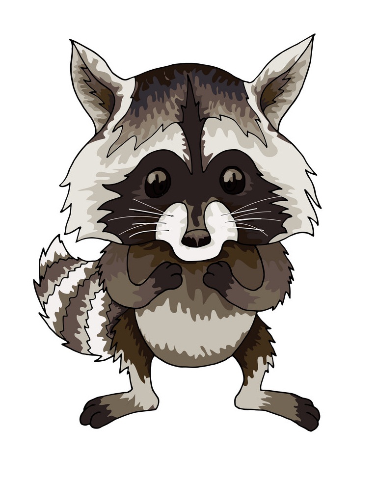 adorable raccoon